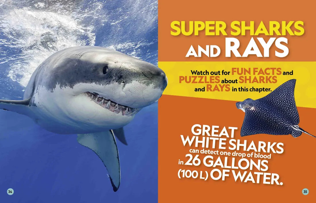 National Geographic Kids Puzzle Book of the Ocean US - Paperback / softback