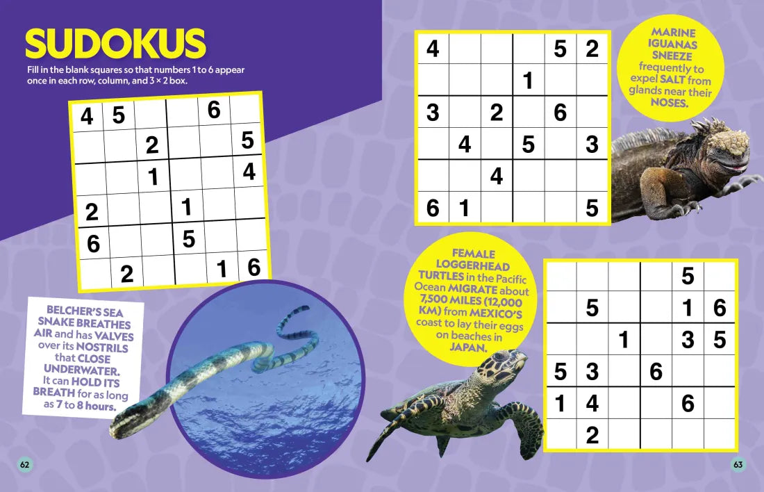 National Geographic Kids Puzzle Book of the Ocean US - Paperback / softback