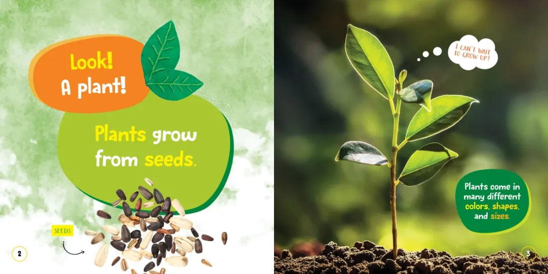 National Geographic Kids Little Kids First Board Book Seed, Sprout, Grow! US - Board book