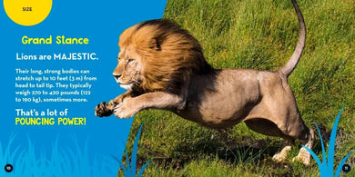 Go Wild! Lions US - Hardback (9781426373541)