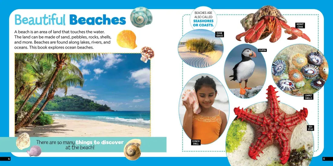 Little Kids First Nature Guide: Explore the Beach US - Paperback / softback