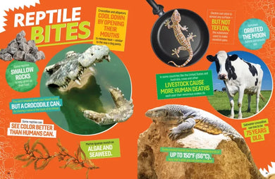 The Ultimate Book of Reptiles US - Hardback (9781426373732)