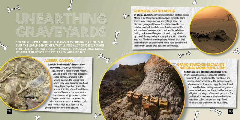 Jurassic Smarts US - Paperback / softback