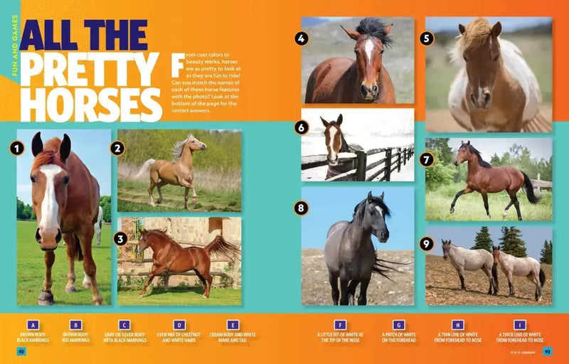 Can't Get Enough Horse Stuff US - Paperback / softback