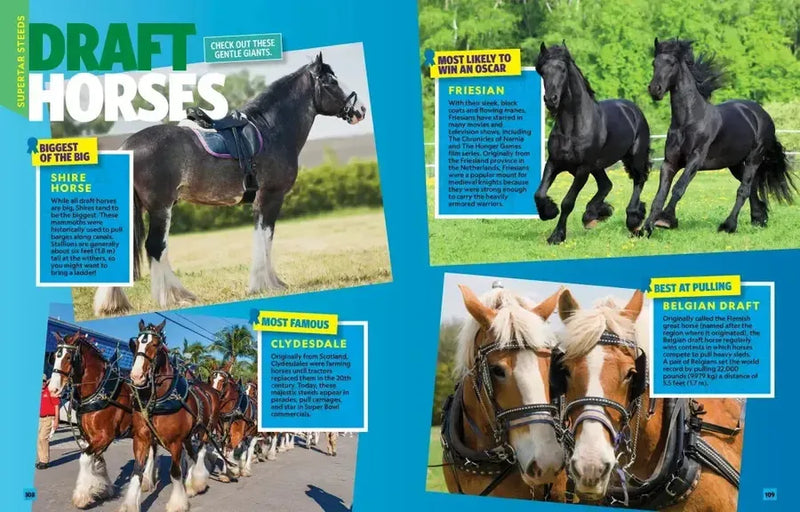 Can't Get Enough Horse Stuff US - Paperback / softback