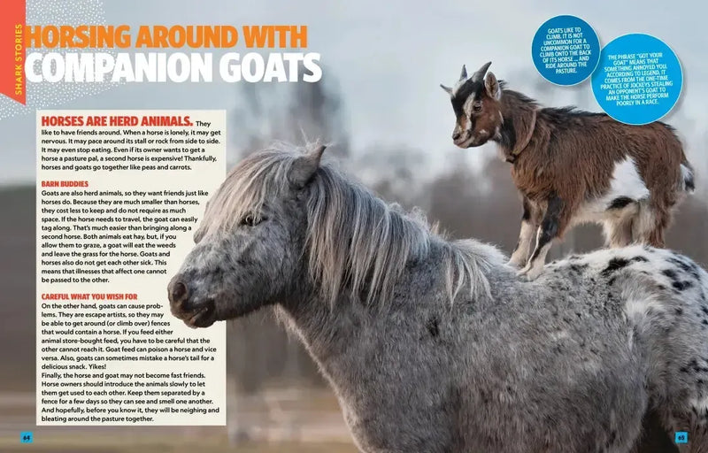 Can't Get Enough Horse Stuff US - Paperback / softback