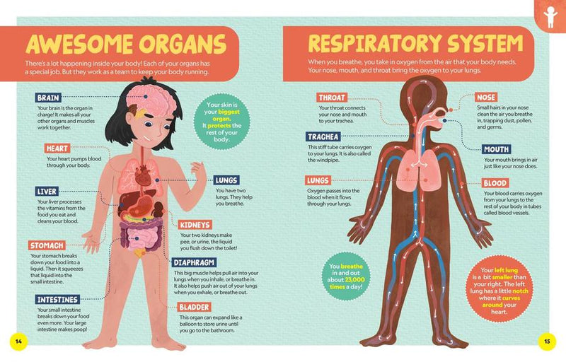 National Geographic Little Kids First Encyclopedia of Almost Everything US - Hardback (9781426374029)