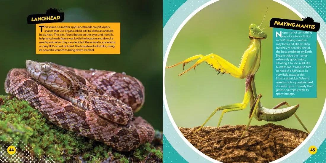 Deadliest Animals on the Planet US - Hardback