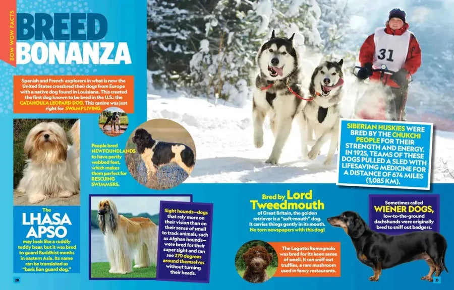 Can't Get Enough Dog Stuff US - Hardback
