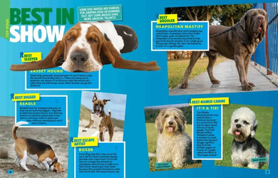 Can't Get Enough Dog Stuff US - Hardback
