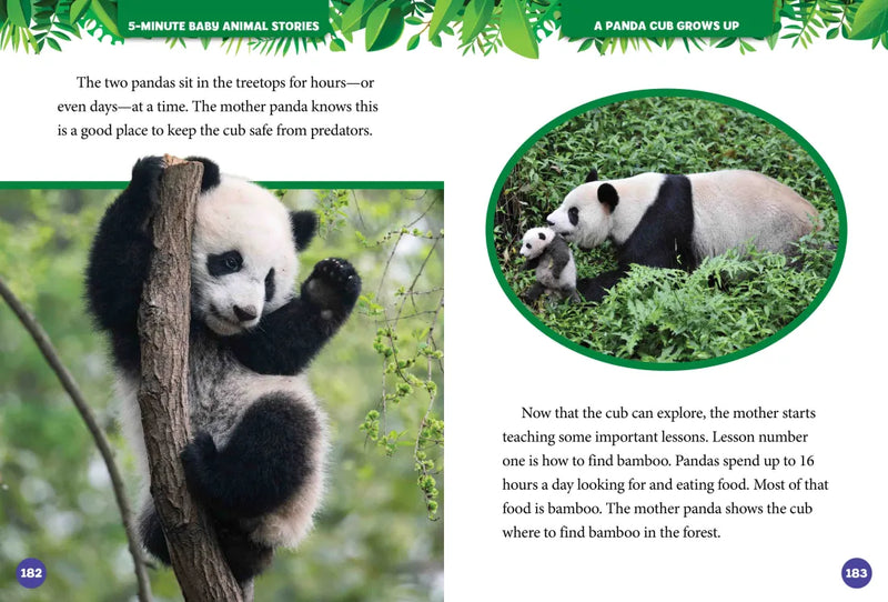 National Geographic Kids 5-Minute Baby Animal Stories US - Hardback