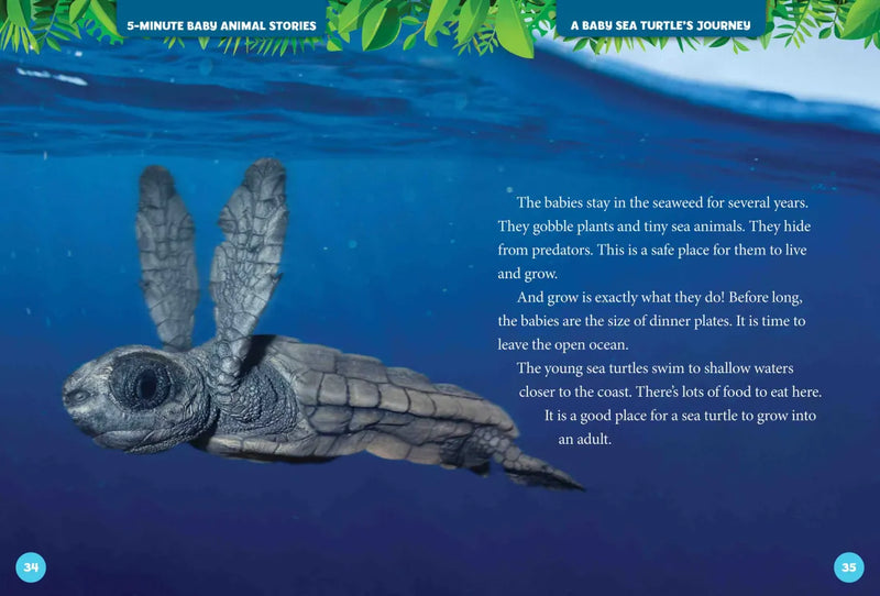 National Geographic Kids 5-Minute Baby Animal Stories US - Hardback