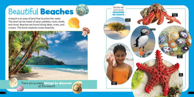 Little Kids First Nature Guide: Explore the Beach US - Hardback