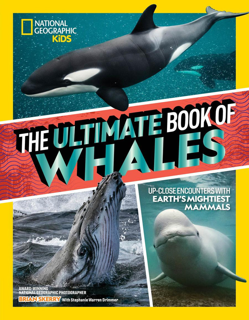 The Ultimate Book of Whales-Children’s / Teenage general interest: Nature and animals-買書書 BuyBookBook