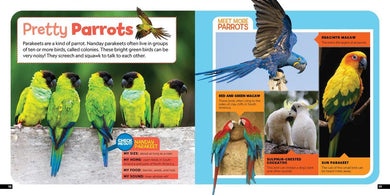 Little Kids First Nature Guide Birds US - Book