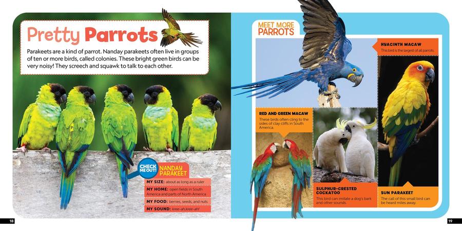 Little Kids First Nature Guide Birds US - Book