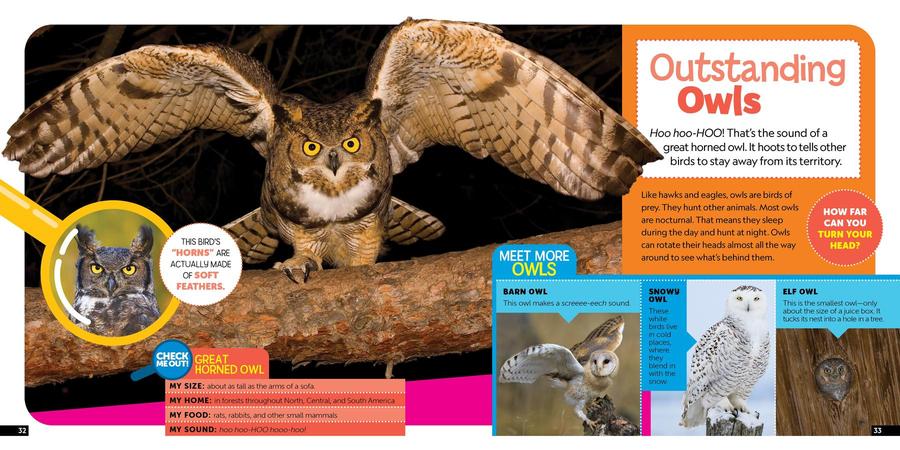 Little Kids First Nature Guide Birds US - Book