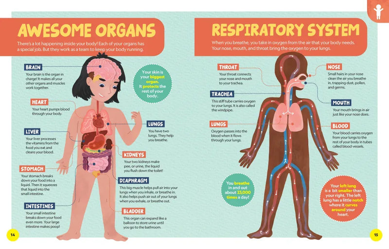 National Geographic Little Kids First Encyclopedia of Almost Everything US - Hardback (9781426375477)