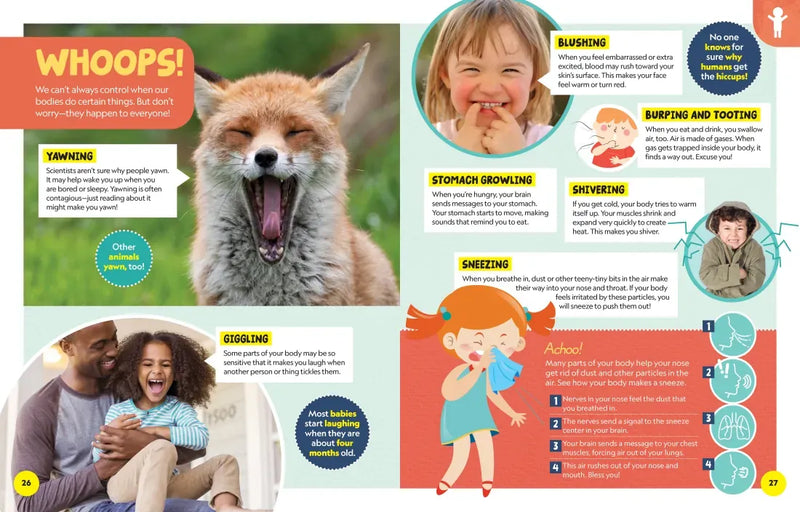 National Geographic Little Kids First Encyclopedia of Almost Everything US - Hardback (9781426375477)