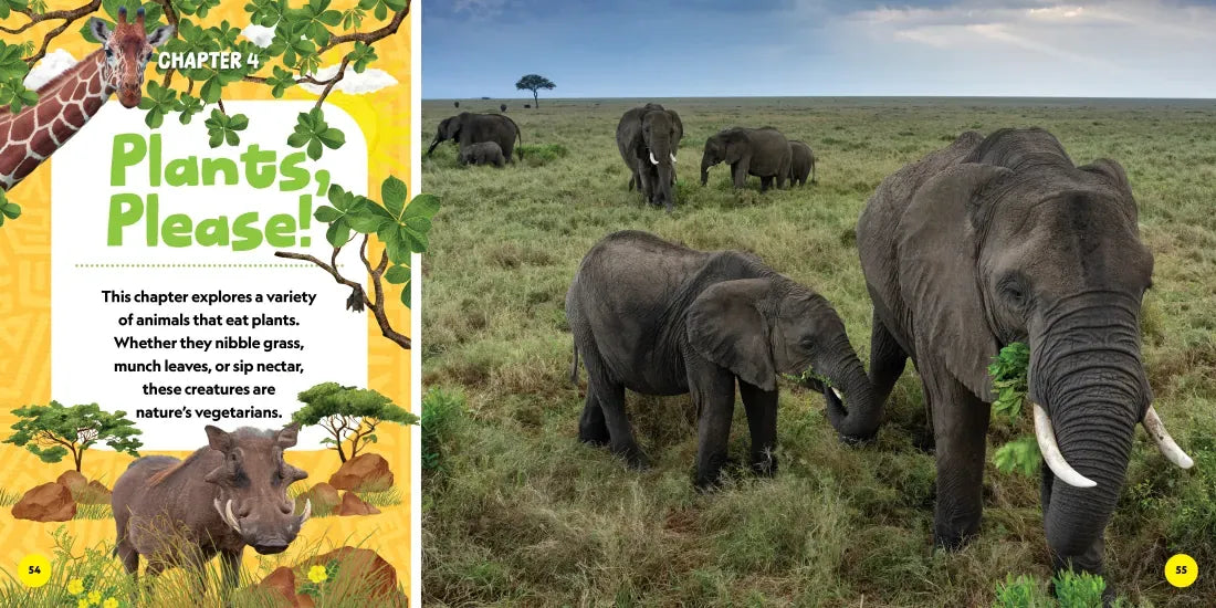 National Geographic Little Kids First Big Book of African Animals US - Hardback