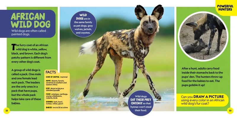 National Geographic Little Kids First Big Book of African Animals US - Hardback