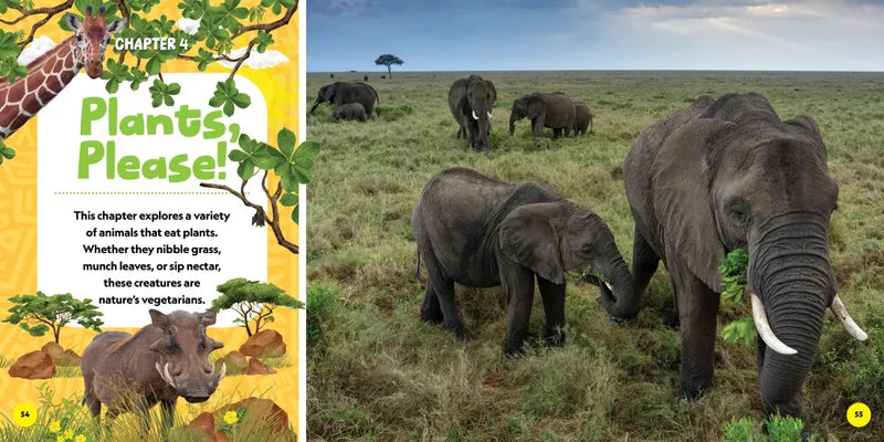 National Geographic Little Kids First Big Book of African Animals US - Hardback