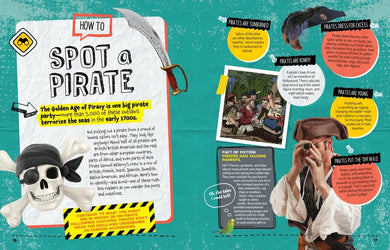 How to Survive in the Age of Pirates US - Paperback / softback