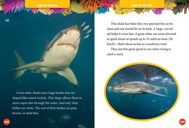 National Geographic Kids 5-Minute Shark Stories US - Hardback