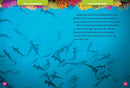National Geographic Kids 5-Minute Shark Stories US - Hardback