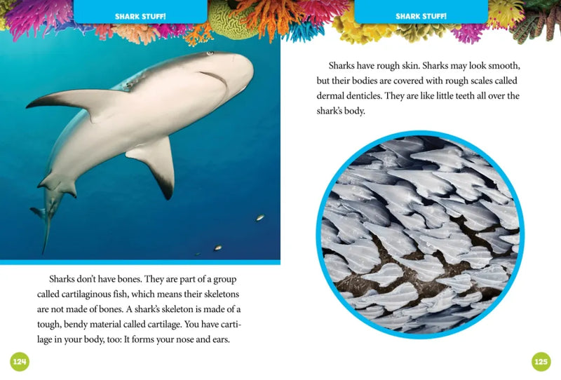 National Geographic Kids 5-Minute Shark Stories US - Hardback