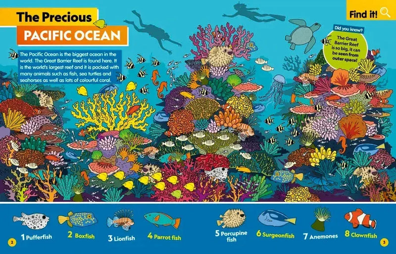 Find It! Explore It! Ocean US - Paperback / softback