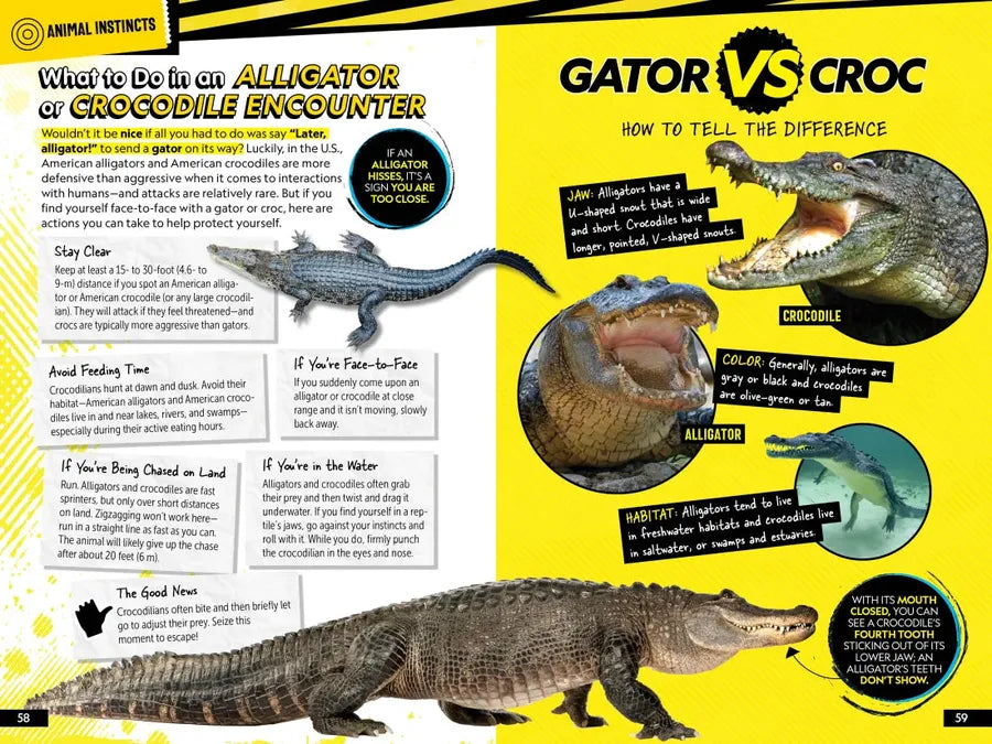 The Official National Geographic Kids Survival Guide US - Book