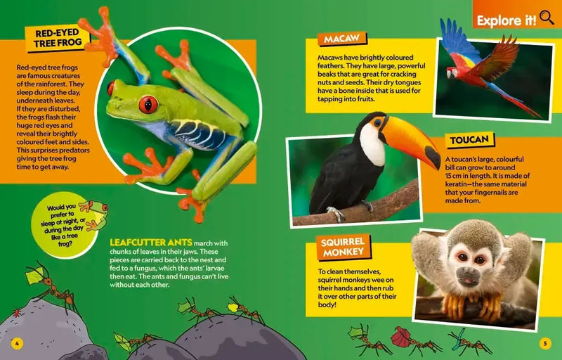 Find It! Explore It! Animals US - Hardback