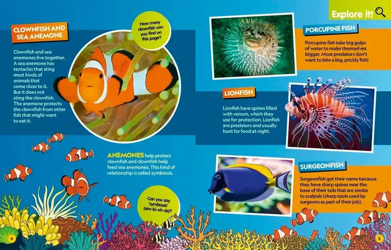 Find It! Explore It! Ocean US - Hardback