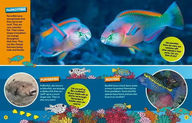 Find It! Explore It! Ocean US - Hardback