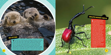 Weirdest Animals on the Planet US - Paperback / softback