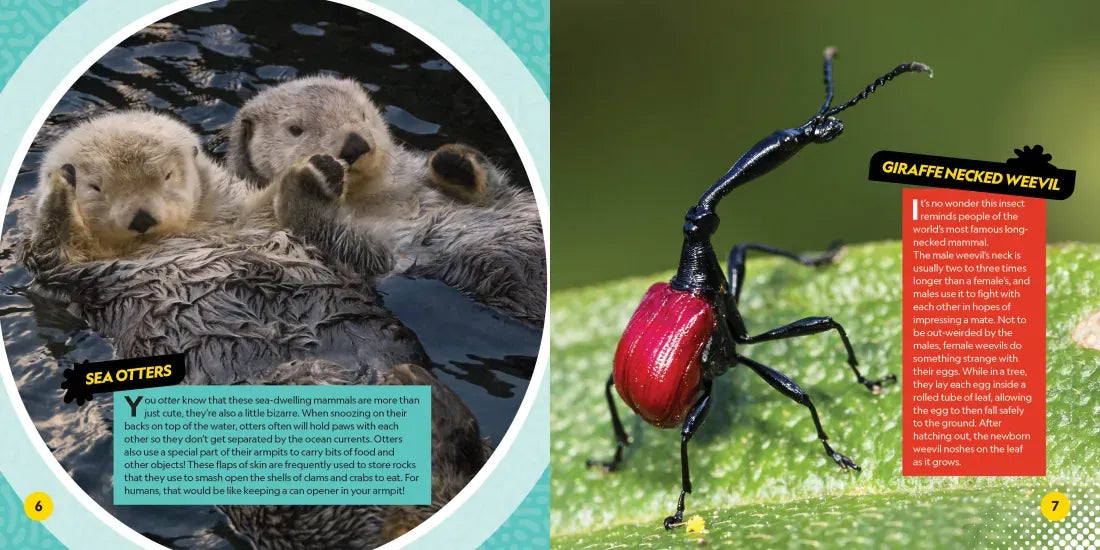 Weirdest Animals on the Planet US - Paperback / softback