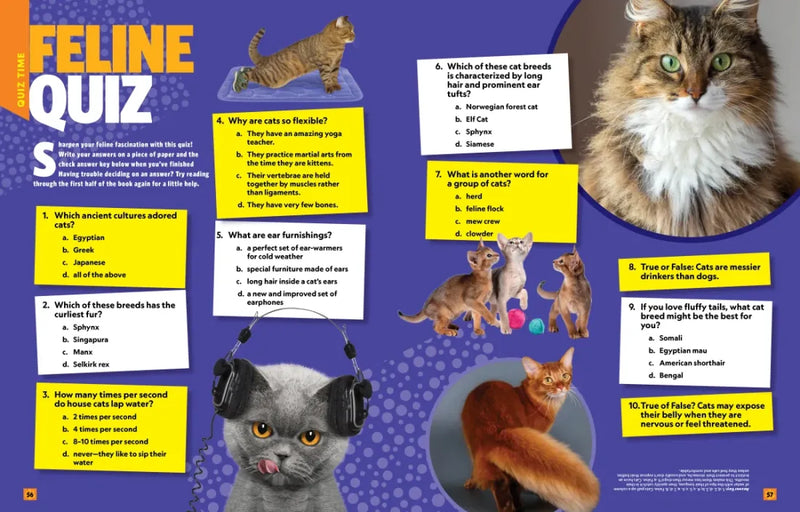 Can't Get Enough Cat Stuff US - Paperback / softback