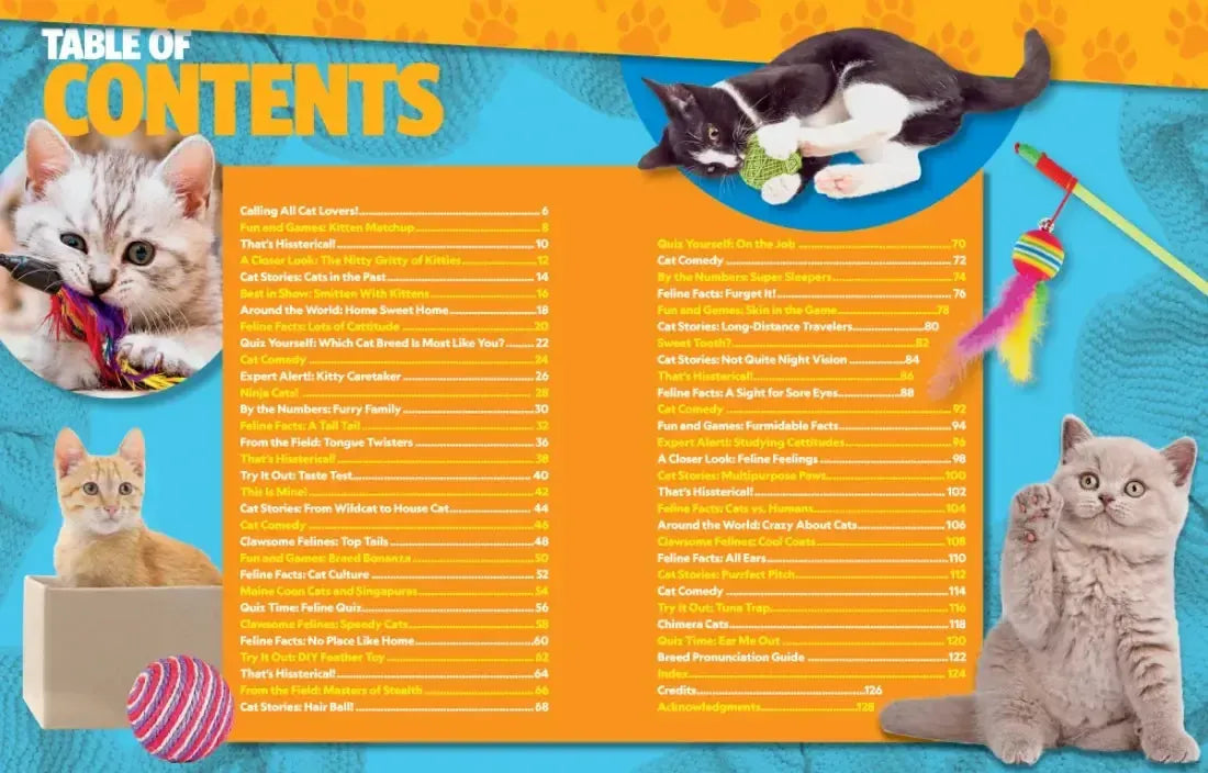 Can't Get Enough Cat Stuff US - Paperback / softback