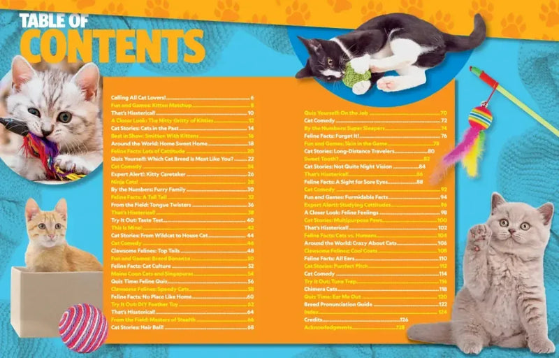 Can't Get Enough Cat Stuff US - Paperback / softback