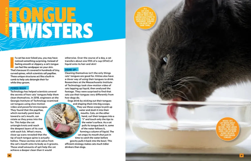 Can't Get Enough Cat Stuff US - Paperback / softback