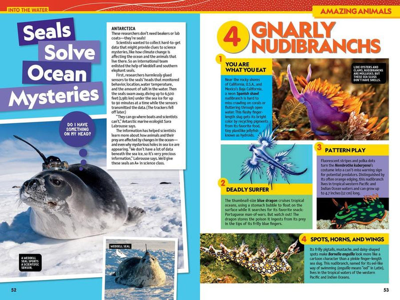 National Geographic Kids Almanac 2025 US - Paperback / softback