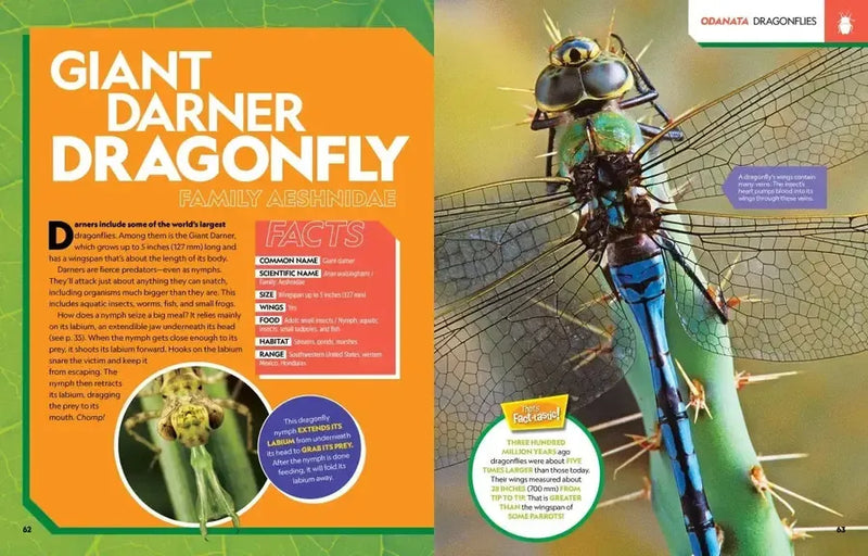 Ultimate Bugopedia, 2nd Edition US - Hardback (9781426376153)