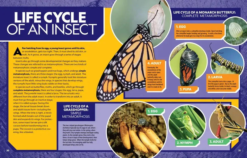 Ultimate Bugopedia, 2nd Edition US - Hardback (9781426376160)