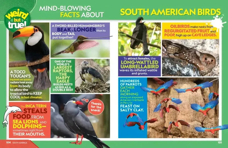 Weird But True World! 2025 US - Paperback / softback