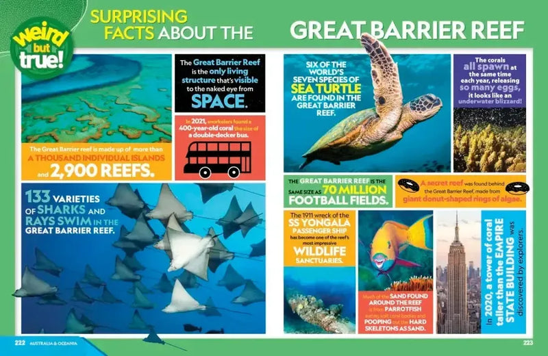 Weird But True World! 2025 US - Paperback / softback