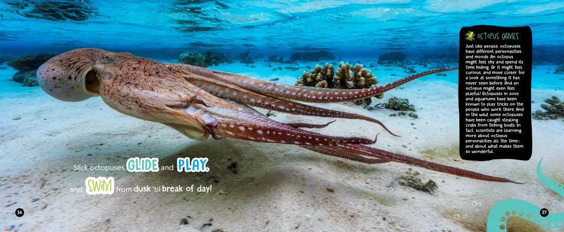 Mysterious, Marvelous Octopus! US - Hardback