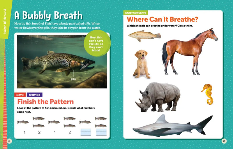 National Geographic Kids Explore! Workbook Pre-K US - Paperback / softback