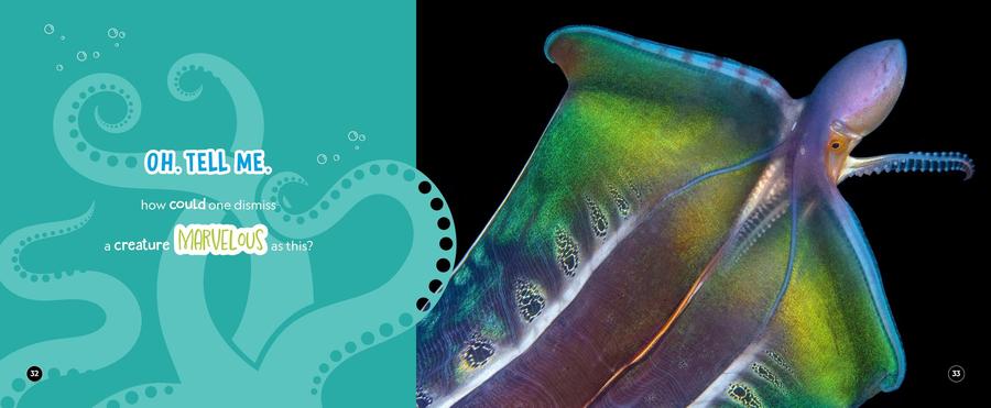 Mysterious, Marvelous Octopus US - Hardback