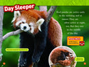 Animal All-Stars Collection (National Geographic Kids Readers, Level 1) US - Paperback / softback